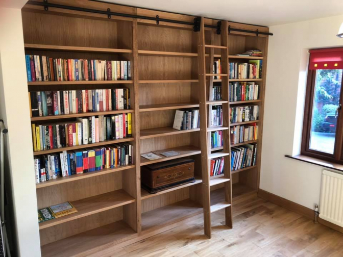 Bookshelf library wall with sliding ladder